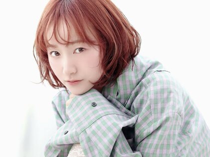 マルシェ(marche)の写真