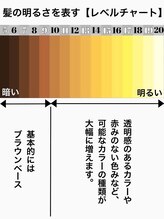 自分の髪って【何レベル？】レベルとトーンの違いって何？