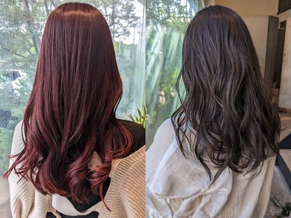 ボンドヘアー(Bond Hair)の写真