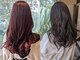 ボンドヘアー(Bond Hair)の写真
