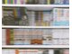 ネフ(NeF)の写真