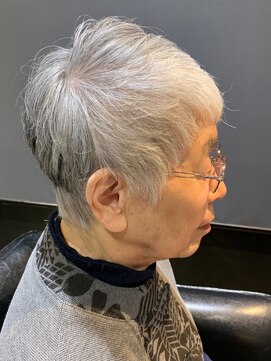 ビギンプラス(BEGIN +) グレイヘア