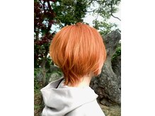 髪ところ 桂月