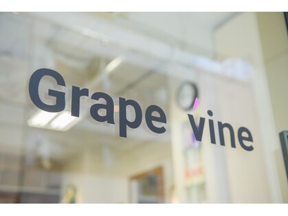 グレープ バイン(GRAPE VINE)の写真