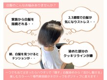 ハウオリ(Hau'oli)の雰囲気（ストレス白髪を『活かし魅せる白髪』へ[白髪ぼかし/白髪染め]）