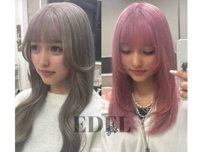 エーデル(EDEL)の写真