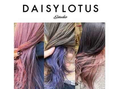 デイジーロータス(DAISYLOTUS)の写真