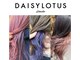 デイジーロータス(DAISYLOTUS)の写真
