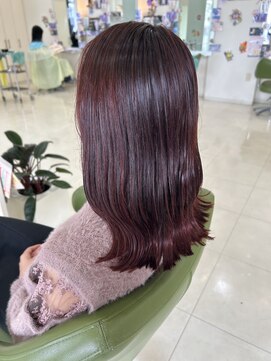 シュウ 西尾店(Shu) ワインレッド