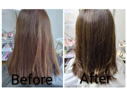 トウジュール(toujours)の写真