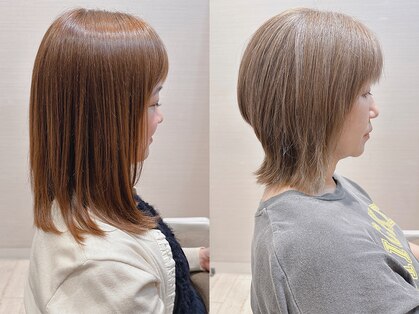 コーエン(cowen)の写真