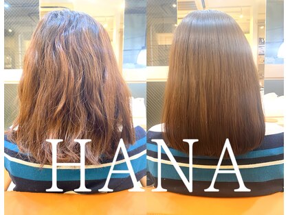 ハナ(HANA)の写真