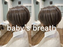 ベビーズブレス(baby's breath)