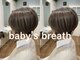 ベビーズブレス(baby's breath)の写真