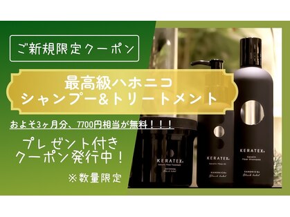 シウン(SIUN.)の写真