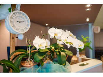 HAIR　MOVE　champ's　平和台