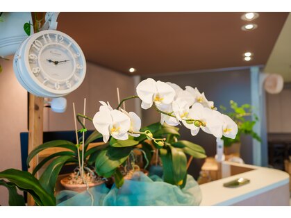ヘア モーヴ チャンプス 平和台(HAIR MOVE champ's)の写真