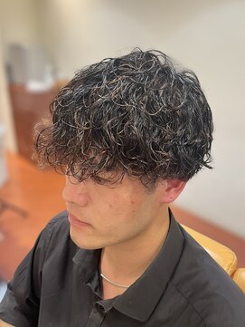 スカイ 亀戸店 (sky) ハイライト/マッシュパーマ/アッシュブラック<理容室>[亀戸]