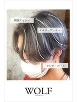 ウルフ(WOLF) 韓国アッシュ＿シルバーアッシュ＿センターパート