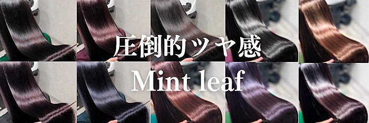 ミントリーフ 大福店(Mint leaf)のサロンヘッダー