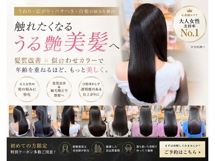 エレム 心斎橋(elem.)の写真
