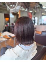 パイロヘアー(Pairo hair) ILLMUMINA　COLOR　"EARTH"