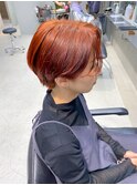 オレンジカラーレッドカラーテラコッタカラーハンサムショート