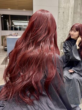 ケイトミラー(KATEMIRROR) 【KANON】チェリーレッドバーガンディブリーチなしダブルカラー