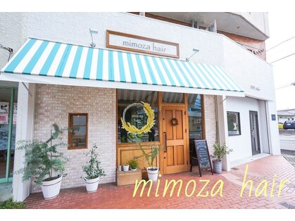 ミモザ(mimoza)の写真