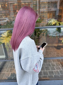 ノース(THE NORTH) 【ＴＨＥ　ＮＯＲＴＨ】フルブリーチ/ハイトーン