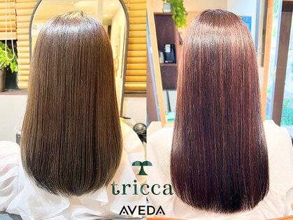 トリッカアヴェダ(tricca AVEDA)の写真
