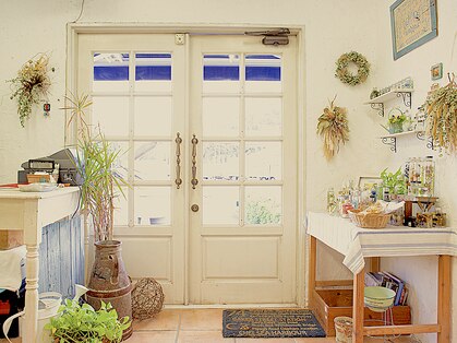 オーチャードグラス(Orchardgrass)の写真