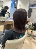 ラベンダーカラーブリーチなしダブルカラーショコラブラウン