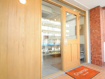 チャンプ(Champu)の写真