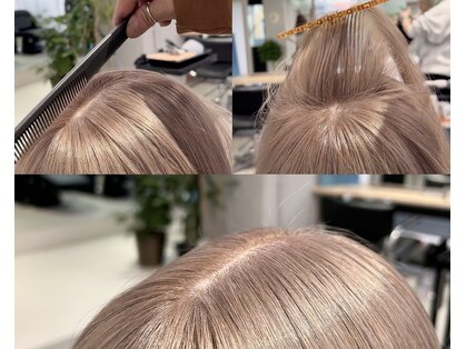 ロマリア ヒルズ 表参道 原宿(Lomalia HILLS)の写真