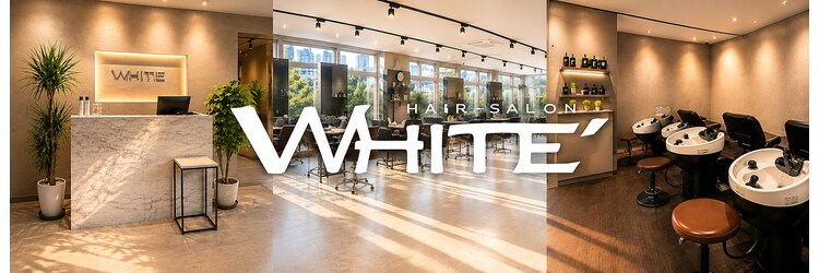 ホワイト(WHITE)のサロンヘッダー