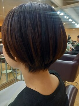 シャンプーボーイ ショート