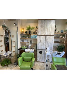 自然派エイジングケアサロンで、あなたの髪に寄り添う★簡単で楽しいヘアライフを実現♪