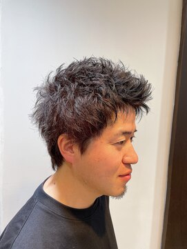 ルピナス 中田(Lupinus) スパイキーショート