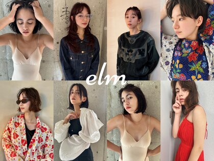 エルム(elm)の写真