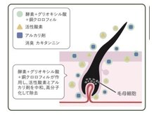 【トトノウケアその２】酵素ケア/頭皮と髪に余分な負担をかけないウェルネス設計【髪質改善/酵素ケア】