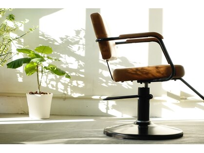 リッジ(ridge)の写真