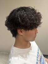 ウォルト(walt)&nbsp;直毛から作る波巻きプードル