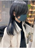 デザインカラーハイライトグレーネイビーアッシュブリーチカラー