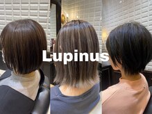 ルピナス(Lupinus)