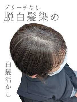 楚々 脱白髪染め/ 白髪活かし グレージュ