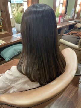 ルーツ(ROOTS) オリーブブラウンカラー