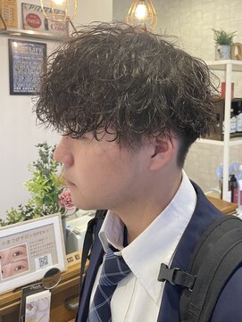 クオリア(Quaria) 波巻きマッシュ