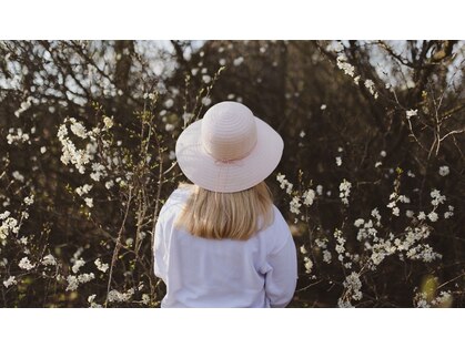 ホットドッグ(Hot Dog)の写真