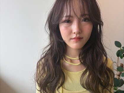 タオン(taon)の写真